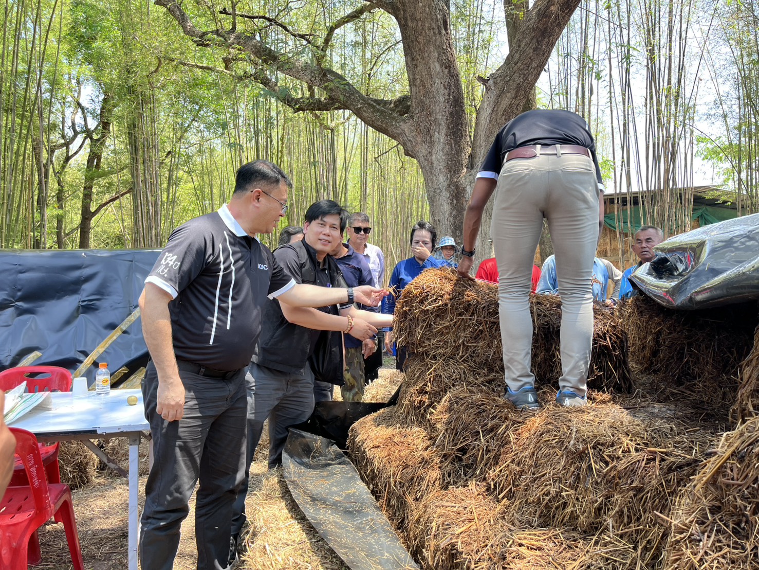 title - วันอังคารที่ 31 มีนาคม 2569 นายวิทูล ประดิษฐบุญ ปฏิรูปที่ดินจัังหวัดปราจีนบุรี พร้อมด้วย เจ้าหน้าที่ ส.ป.ก.ปราจีนบุรี เข้าร่วม กิจกรรมเปิดโครงการ Kick off การใช้ประโยชน์ จากฟางข้าวตาม 